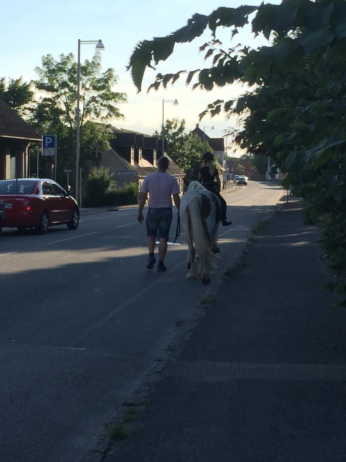 Tinker Jenny billede 3