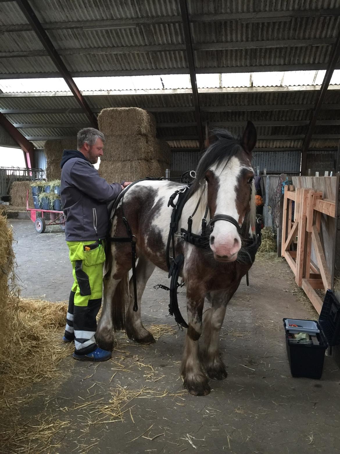 Tinker Jenny billede 5