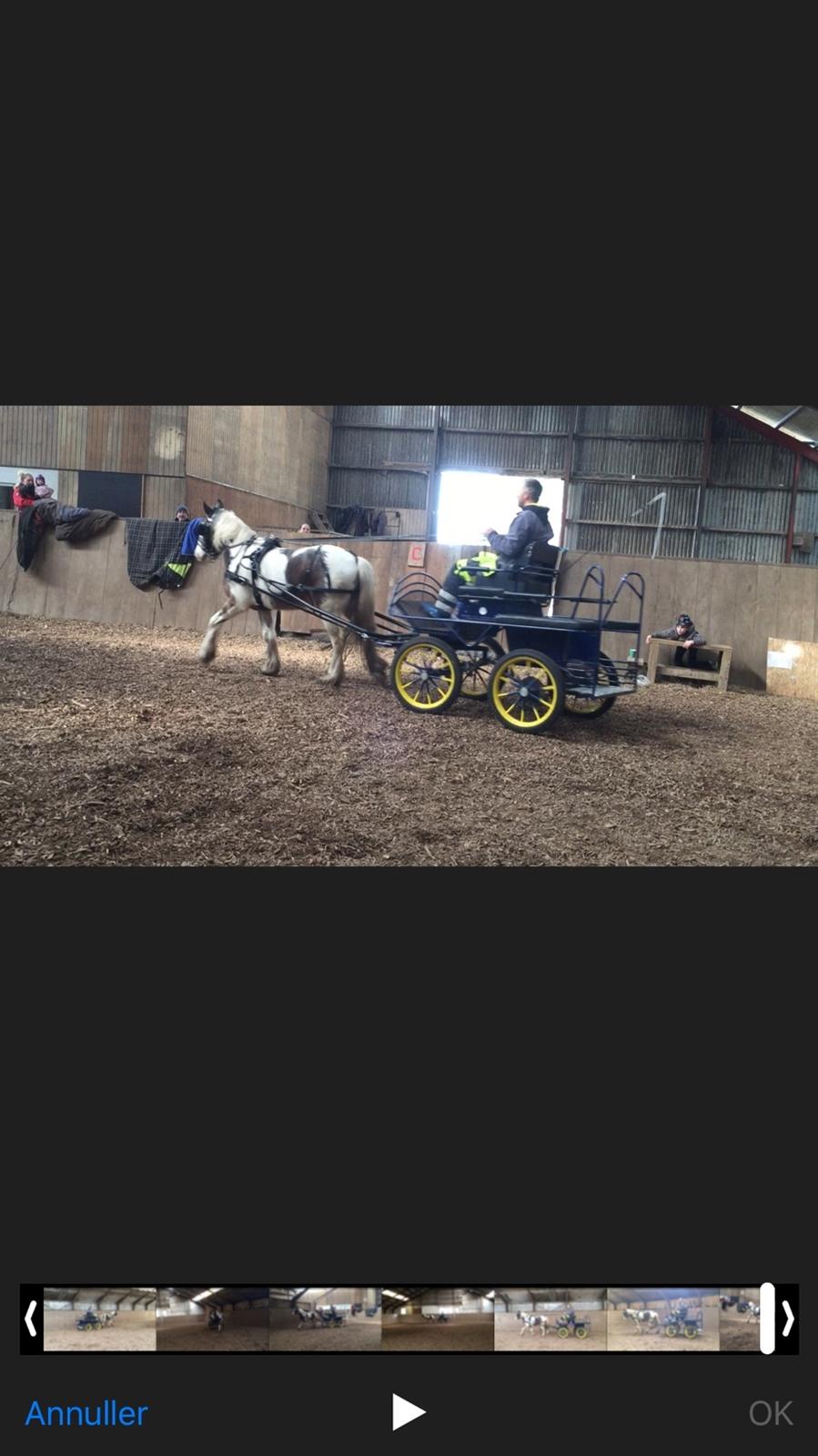 Tinker Jenny billede 6