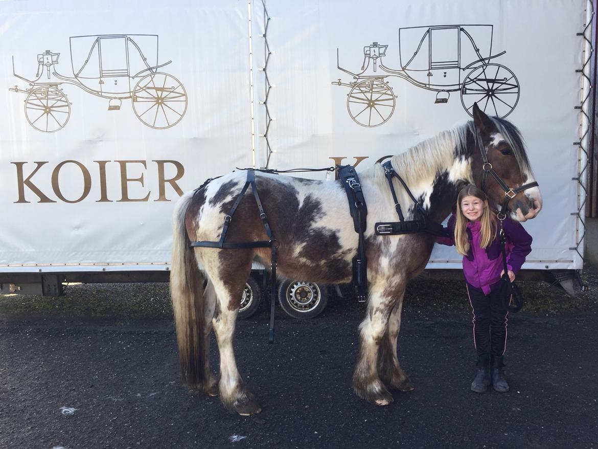 Tinker Jenny billede 7