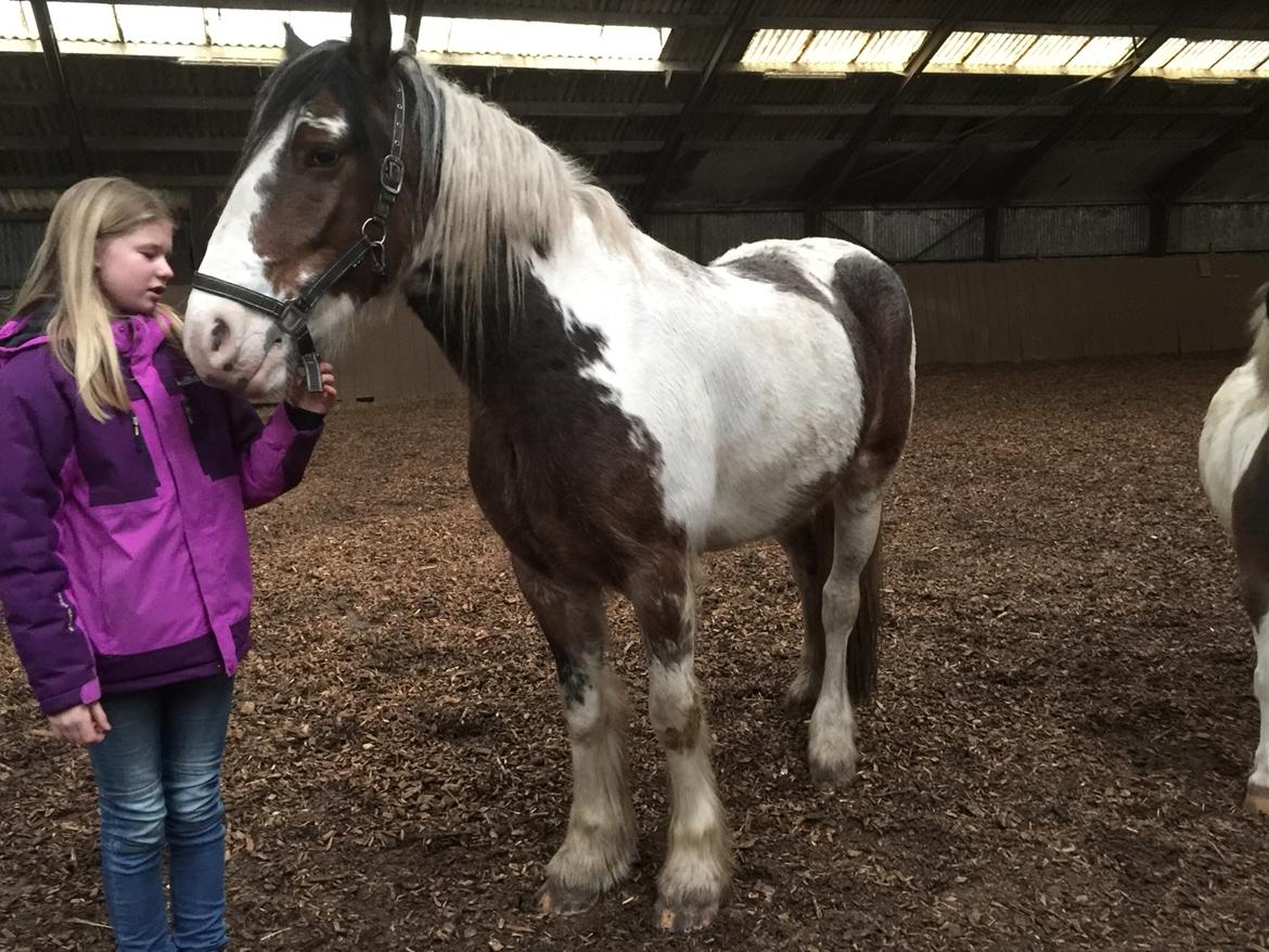 Tinker Jenny billede 8