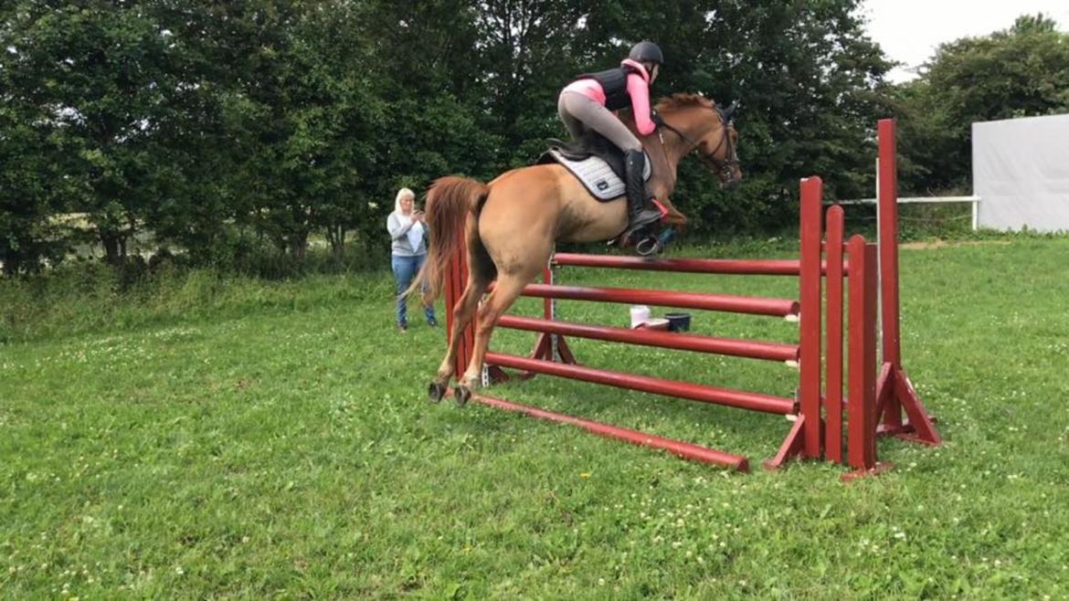 DSP Nørlunds Denver billede 1