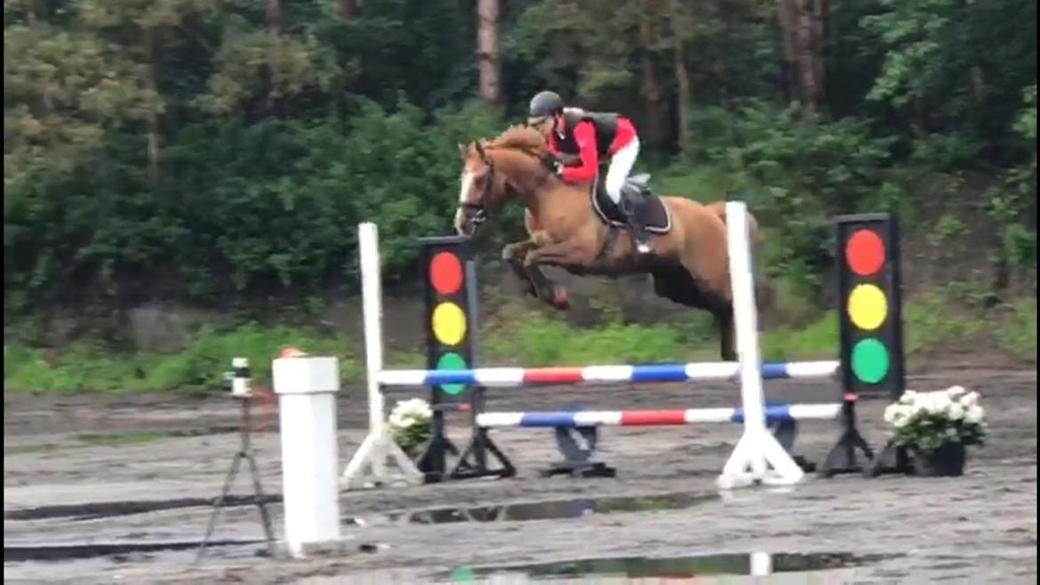 DSP Nørlunds Denver billede 4