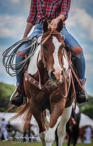 Paint Blue Leo San billede 1