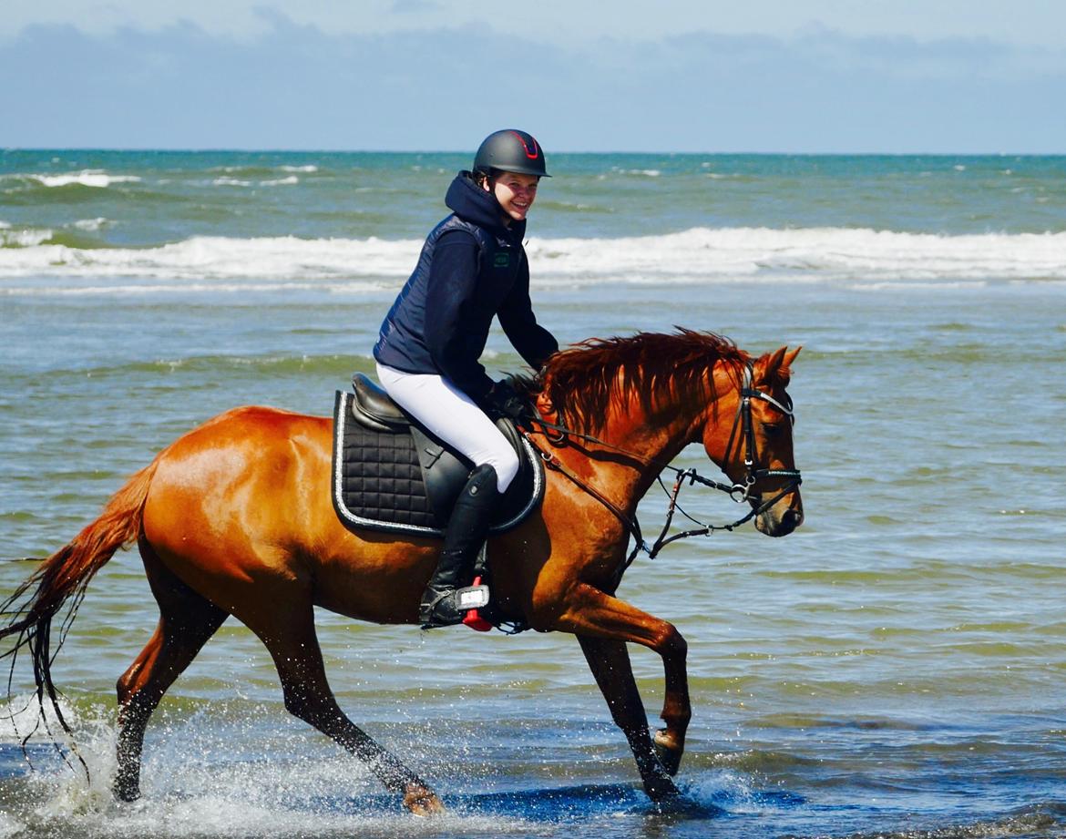 DSP F. charming de luxe billede 8