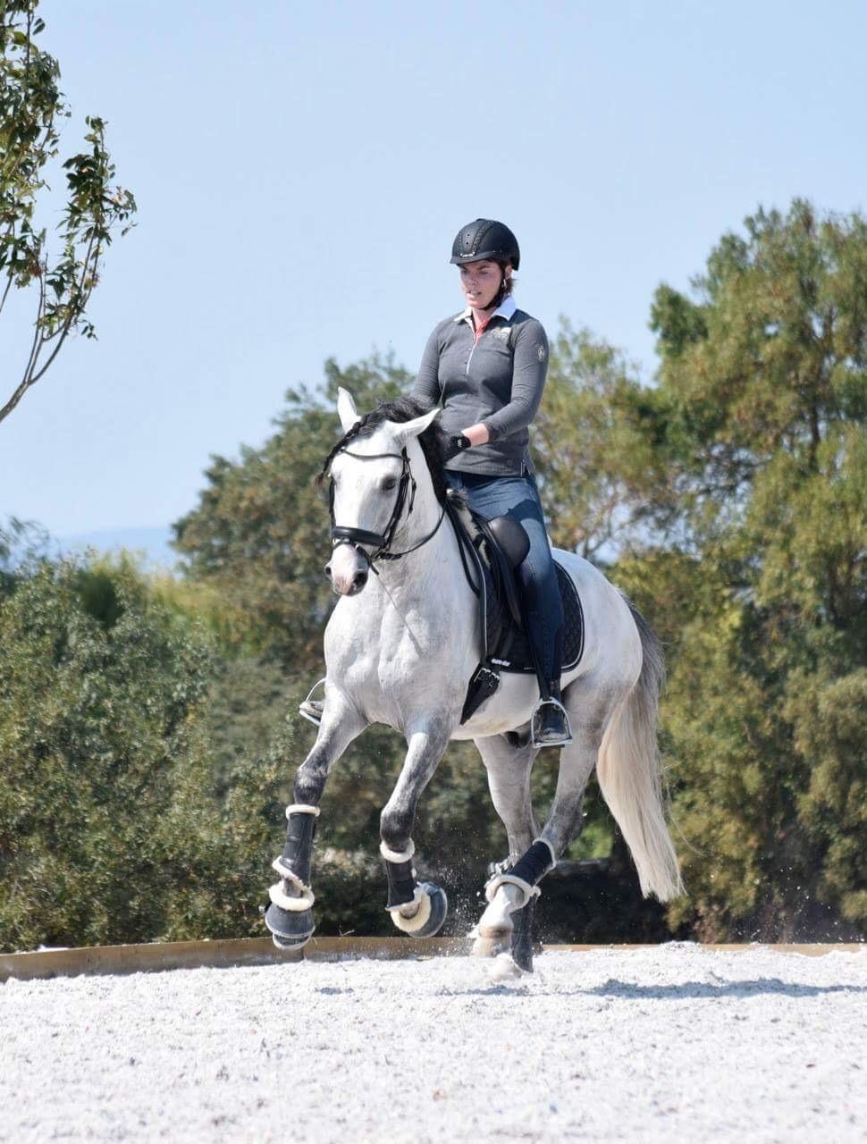 Lusitano Horaga billede 9