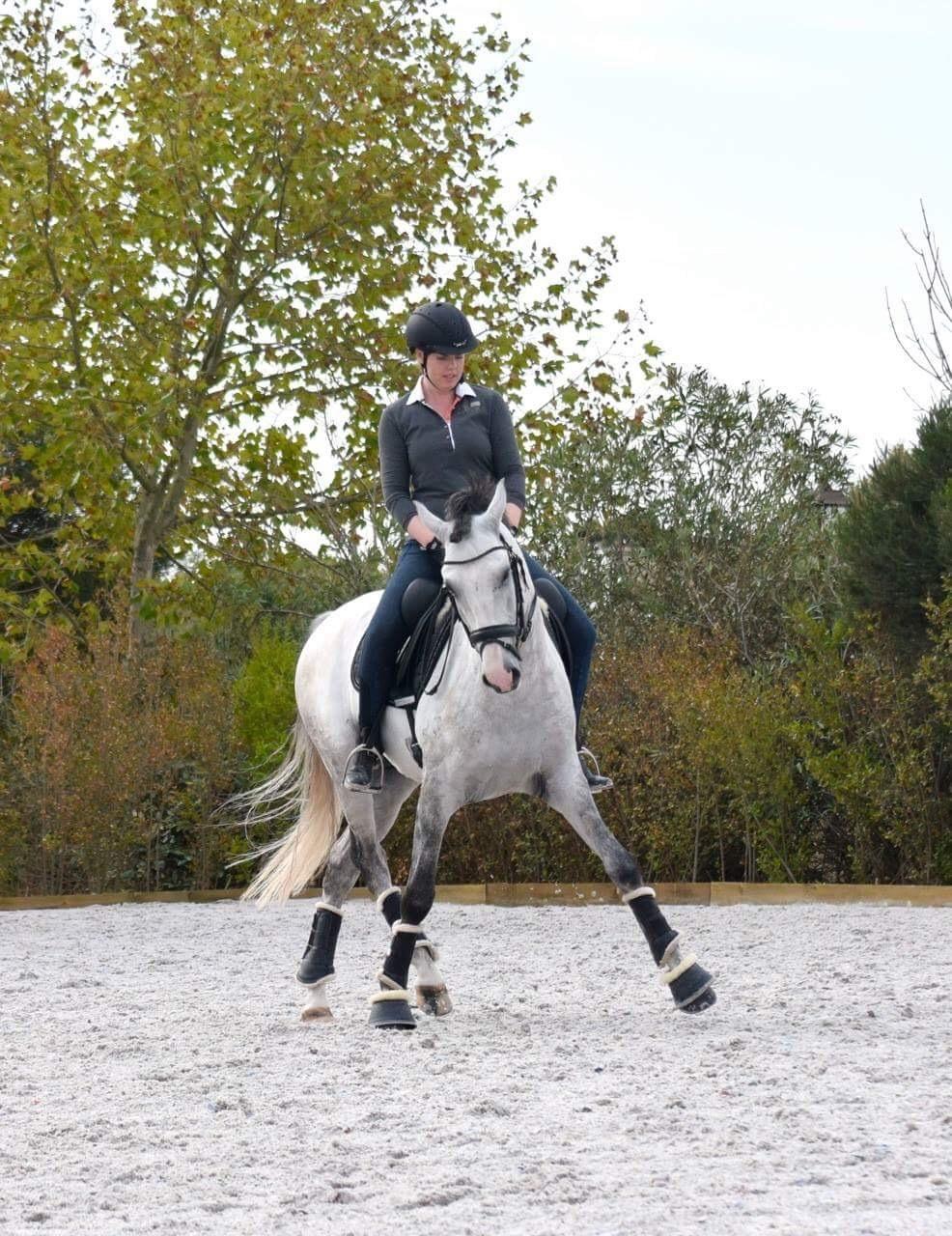 Lusitano Horaga billede 14