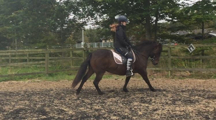 Anden særlig race June - Galop, galop :) billede 1