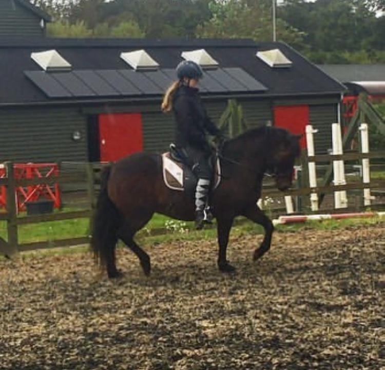 Anden særlig race June - Vi er begge meget koncentrerede ;) billede 3