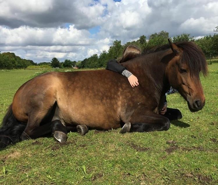 Anden særlig race June - June er meget tillidsfuld :)) billede 6