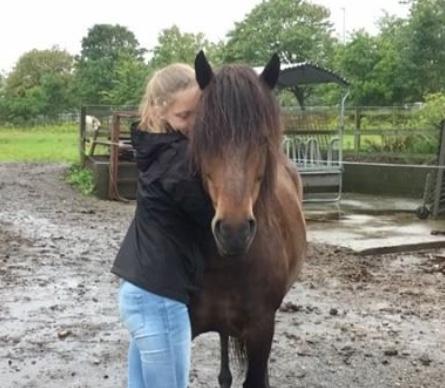 Anden særlig race June - altid dejligt med en god krammer <3 billede 7