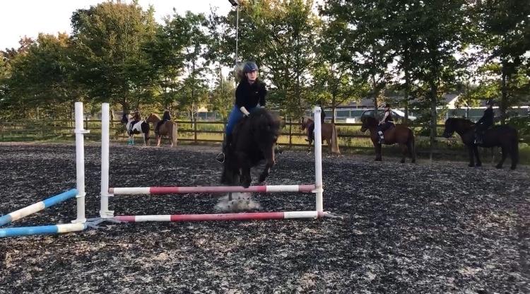 Anden særlig race June - Hun kan også springe ;) billede 12