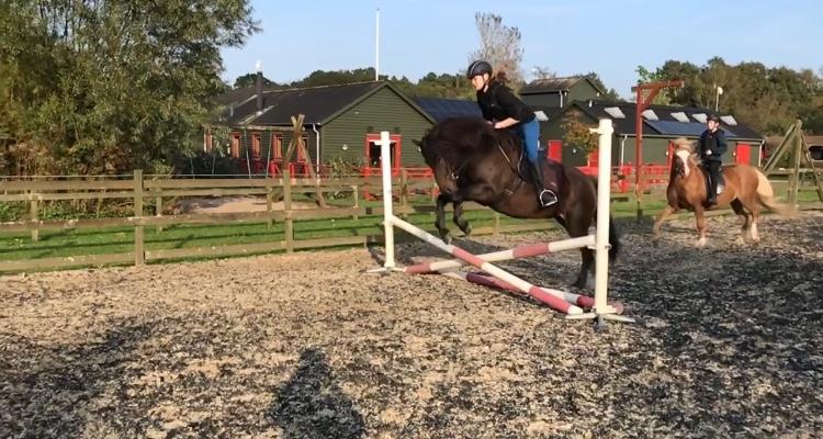 Anden særlig race June - Man må ikke ramme bommen! billede 13