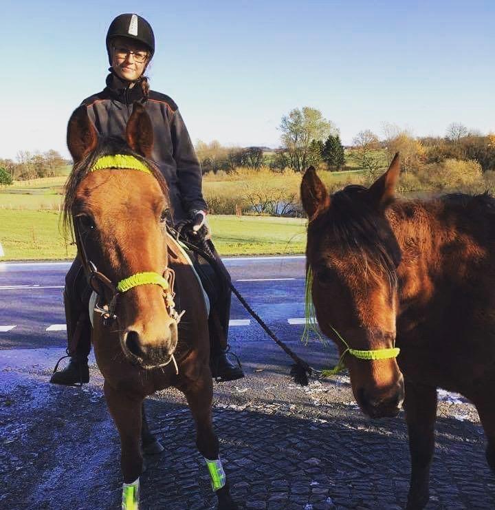 Traver Jovial Millpond billede 17