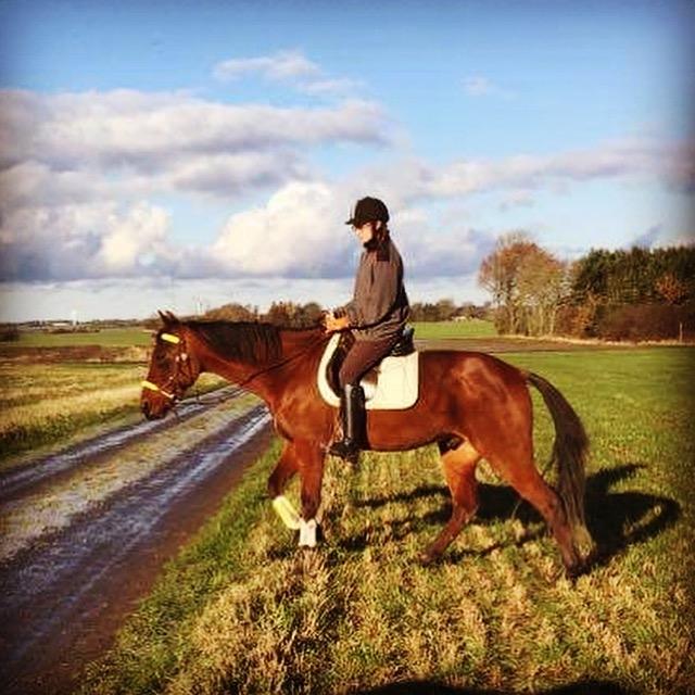 Traver Jovial Millpond billede 20