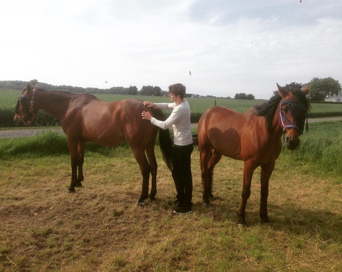 Traver Jovial Millpond billede 10