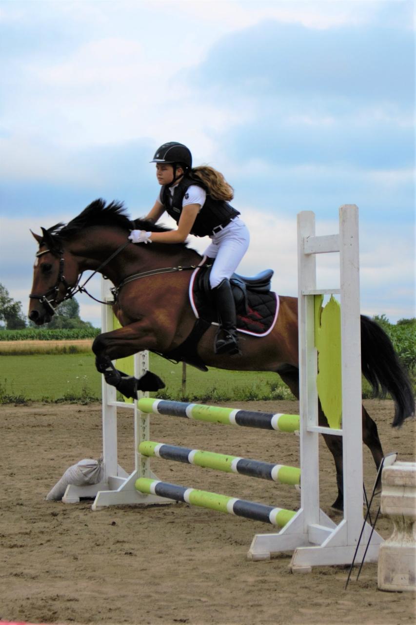 DSP Lazione kærlund billede 1