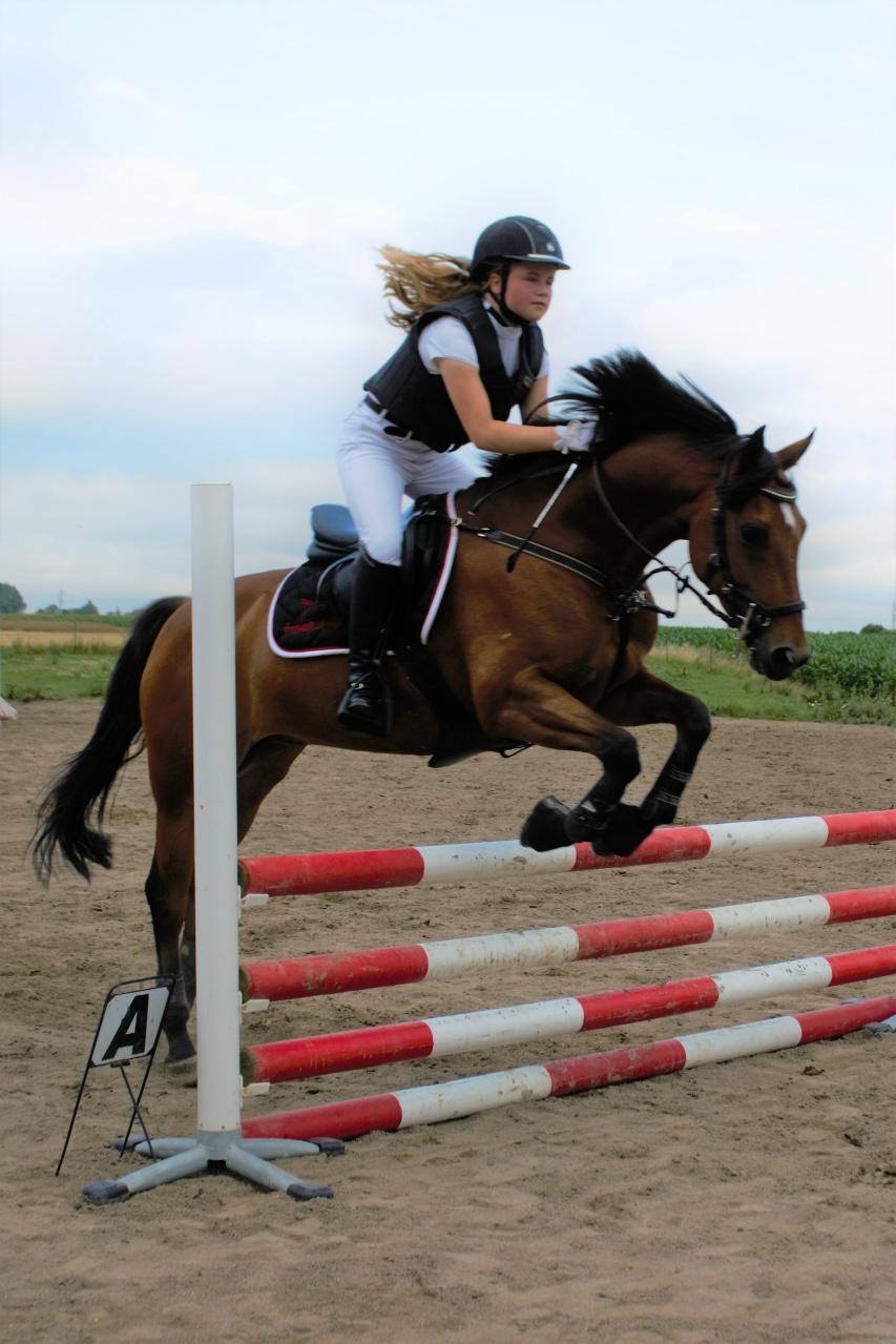 DSP Lazione kærlund billede 2