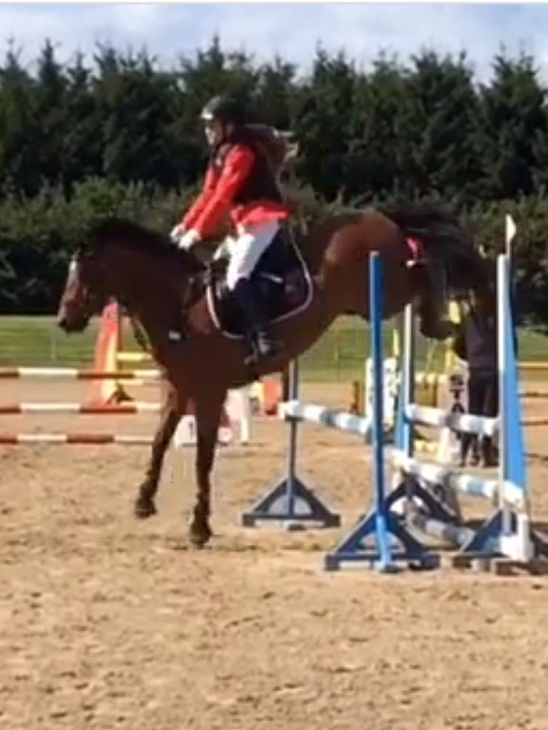 DSP Lazione kærlund billede 3