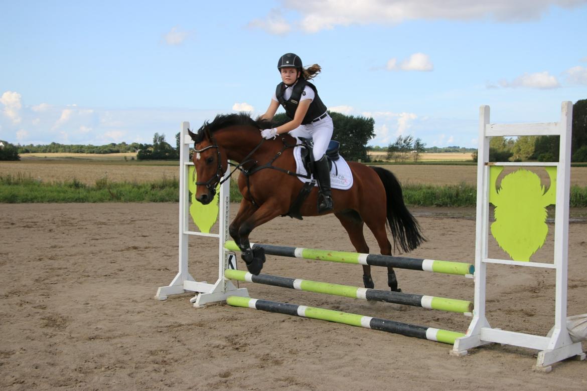 DSP Lazione kærlund billede 4