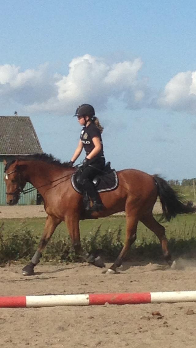 DSP Lazione kærlund billede 7