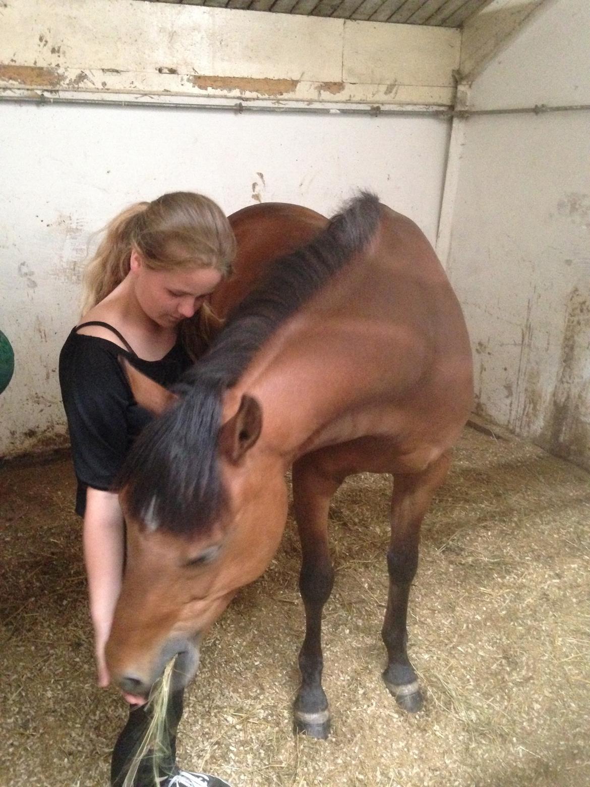 DSP Lazione kærlund billede 11