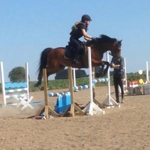 DSP Lazione kærlund billede 13