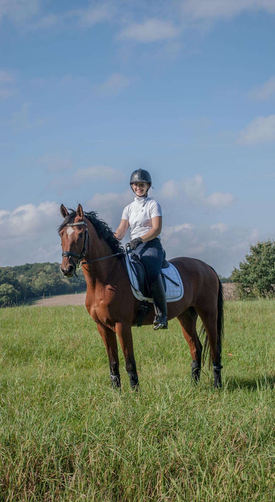 Sportsaraber (A) Aragorn's Choice billede 15