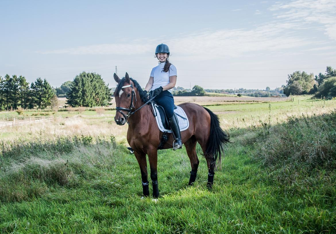 Sportsaraber (A) Aragorn's Choice billede 8