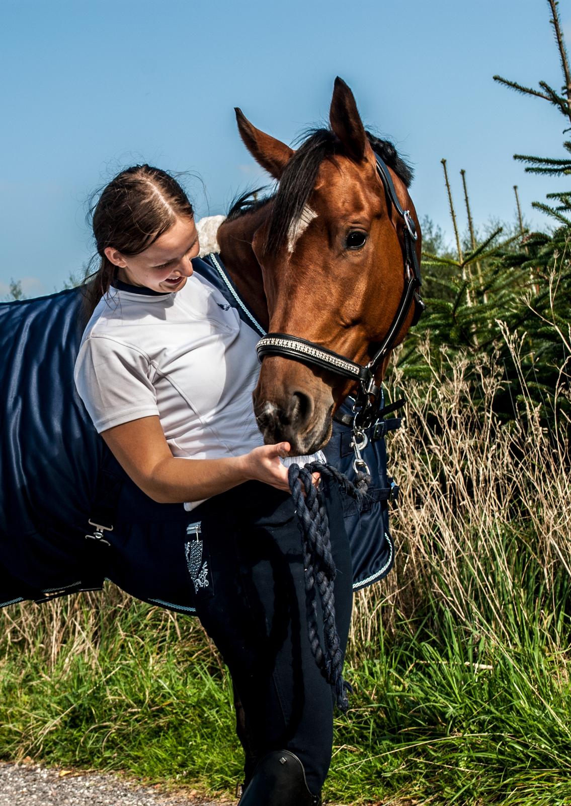 Sportsaraber (A) Aragorn's Choice billede 9