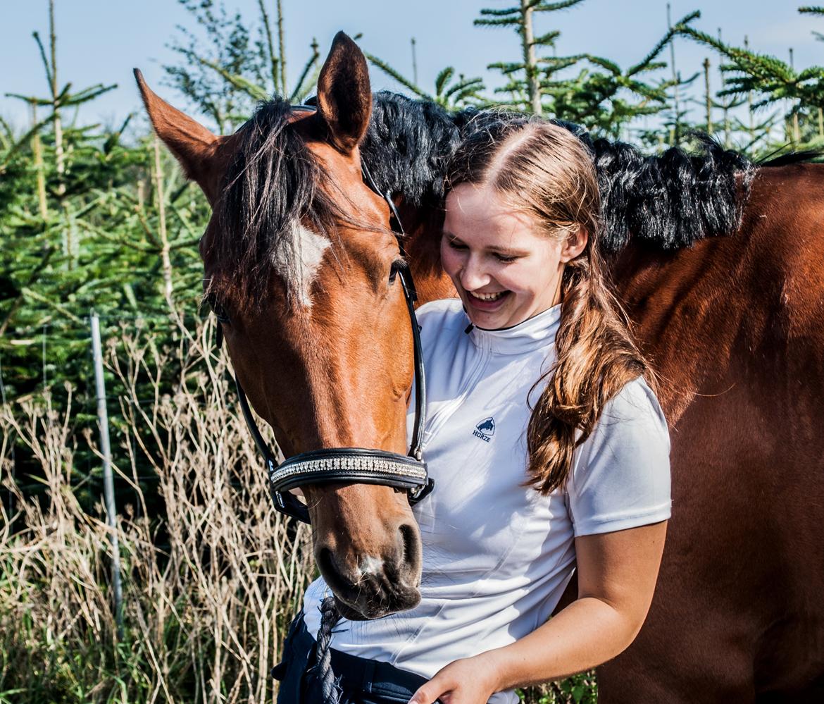 Sportsaraber (A) Aragorn's Choice billede 28