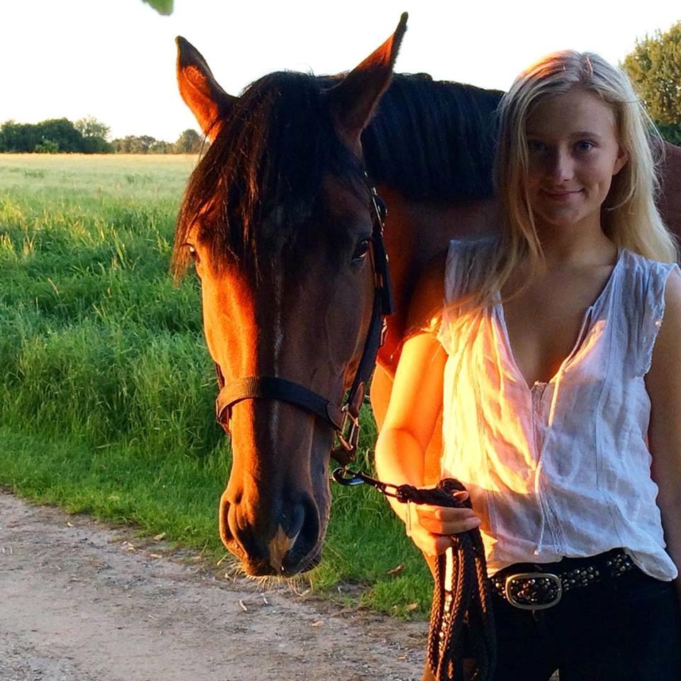 Dansk Varmblod Hot casey p billede 4