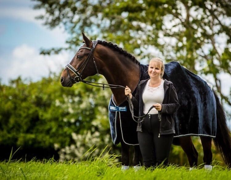 Connemara Egevangens Bailey billede 13