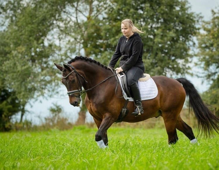 Connemara Egevangens Bailey billede 15