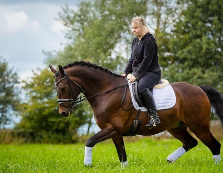 Connemara Egevangens Bailey billede 10