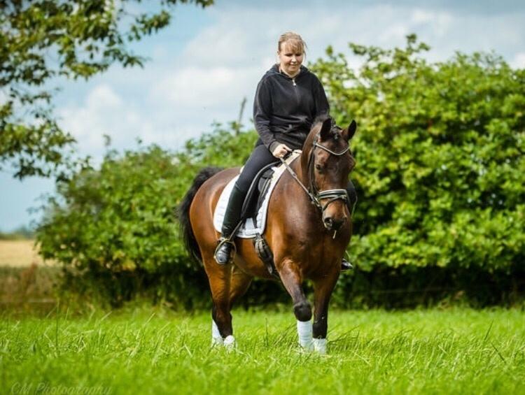 Connemara Egevangens Bailey billede 19