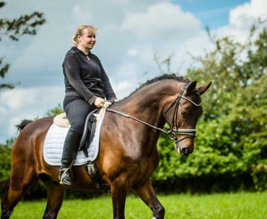 Connemara Egevangens Bailey billede 25