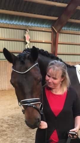 Connemara Egevangens Bailey billede 30