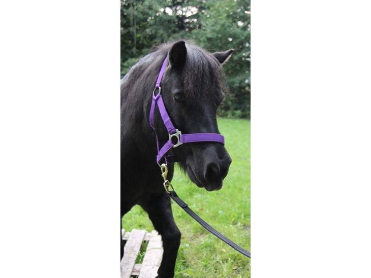 {{currentPhoto.altText}} billede {{currentPhoto.number}}