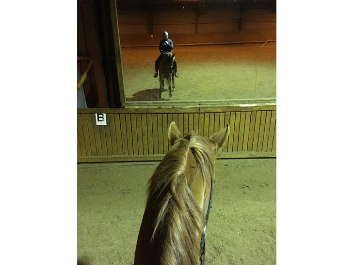 {{currentPhoto.altText}} billede {{currentPhoto.number}}