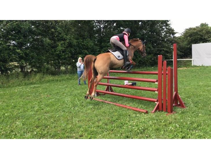 {{currentPhoto.altText}} billede {{currentPhoto.number}}