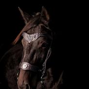 Traver Livi Instinct a.k.a Fleur