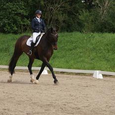 Oldenborg Nobel star