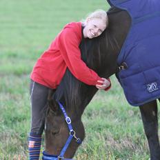 Zangersheide D. Chriesafie Z