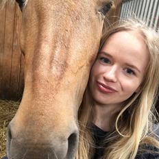 Anden særlig race Rainy June