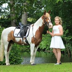 Anden særlig race Rugholms Bella 