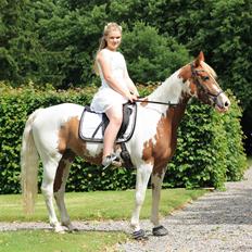 Anden særlig race Rugholms Bella 