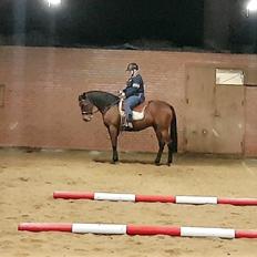 Traver Majestic Eastwind