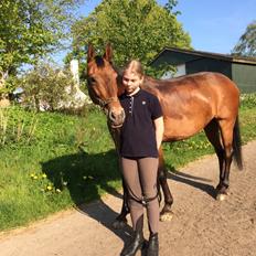 Knabstrupper Coco Chanell