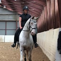 Knabstrupper Friis' hekto pascal skovbo